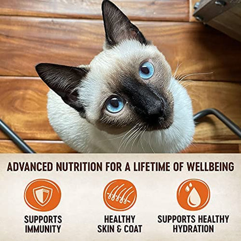 Wellness CORE Tiny Tasters Wet Cat Food, Complete & Balanced Natural Pet Food, Made with Real Meat, 1.75-Ounce Pouch, 12 Pack (Adult Cat, Flaked Tuna & Salmon)