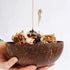 COCOBANGO® Coconut Bowls with Spoons and Forks: Vegan, Organic, 100% natural Coconut Bowls, Smoothie bowls, Wooden Bowls for Food, Wooden Fruit Bowls, Acai Bowls (Set of 2)