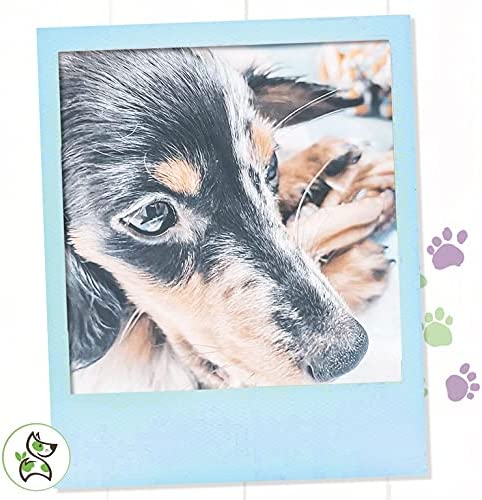 Nature Gnaws - Long Lasting Dog Chews for Dogs - Puppy Chew Treats - Chew Bones - Puppy Bully Sticks and Chew Sticks - Puppy Bones for Teething - Combo Bag - Natural, Rawhide Free (12 Count)