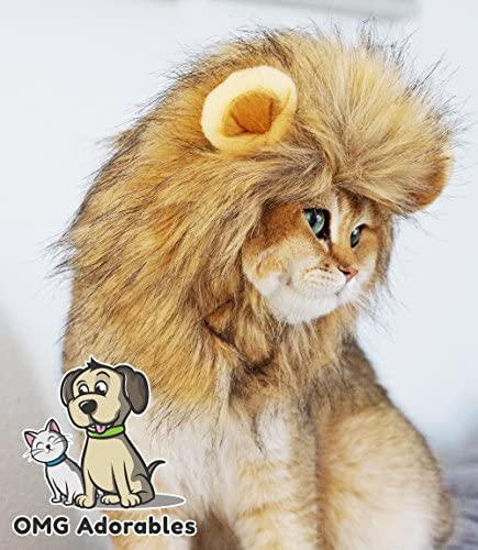 Lion Mane Costume for Cat (Cat) - Halloween Special