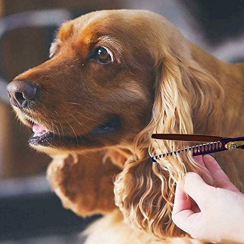 Purple Dragon Professional 7.0/8.0 inch Pet Grooming Hair Cutting Scissor and 6.75/8.0 inch Dog Chunker Shear - Japan 440C Stainless Steel for Pet Groomer or Family DIY Use (Chunker Scissor)
