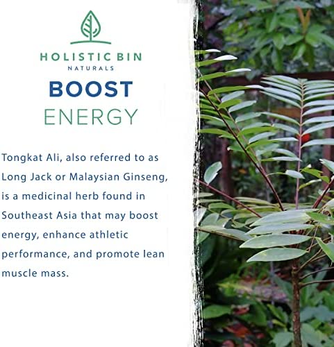 Holistic Bin Indonesian Tongkat Ali Capsules 1000mg Per Serving | Wild Harvested Eurycoma Longifolia Roots from Sumatra | No Fillers - 100% Pure Tongkat Ali for Men and Women (30 Day Supply)