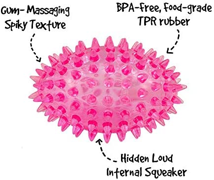 Gnawsome™ 3.5” Spiky Squeaker Football Dog Toy - Small, Cleans Teeth and Promotes Good Dental and Gum Health for Your Pet, Colors will vary