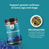 Vitamin B3 Nicotinamide 500mg Capsules - Mitochondrial Energy and Anti Aging Skin Supplement - AKA Vitamin B3 Niacin 500mg Flush Free and Niacinamide 500mg - Flush Free Niacin Supplement - 60 Count