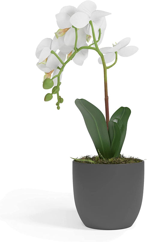 Barnyard Designs 14? Artificial Phalaenopsis Orchid, Indoor Faux Potted House Plant with Flowers for Home, Office, or Parlor Decor