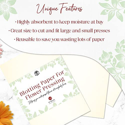 Blotting Paper for Flower Press by Berstuk® • Large A4 Flower Press Paper • Highly Absorbent and Reusable Herbarium Paper • Pack of 10 Blotting Paper Sheets