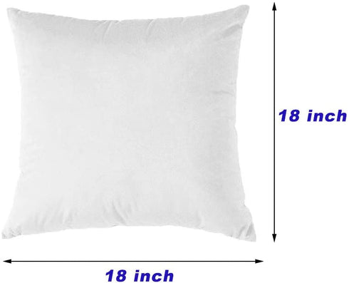 RBSC Home Pack of 2 Velvet Pillow Covers Decorative Square Pillowcase Soft Solid Cushion Case with Hidden Zipper for Sofa Bedroom 18 X 18 Inch