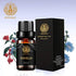 Aphrosmile Vanilla Essential Oil - 100% Pure Vanilla Oil, Organic Therapeutic-Grade Aromatherapy Essential Oil 10mL/0.33oz