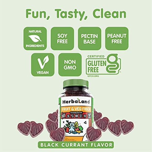 Herbaland Vegan Fruit & Veg Fiber Gummies for Kids - Sugar-Free, Gluten-Free, Gut Health Supplements, Organic, Natural Dietary Supplement, Healthy Digestive System - Black Currant Flavor, 60 Count