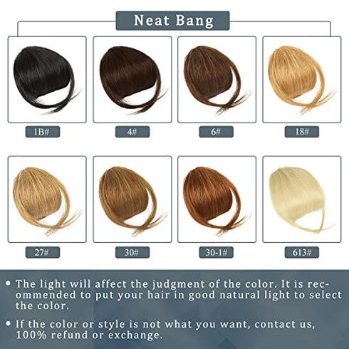 Clip in Bangs, BARSDAR 100% Human Hair Bangs Extensions French Bangs Neat Bangs with Temples Clip on Fringe Bangs Real Hair for Women Natural Color Washable/Dyeable(Neat-Dark Auburn Brown)