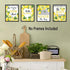 HLNIUC Lemon signs Art Prints, Inspirational Blue Pattern Yellow Lemon Pictures Set Of 6(8”X10”, Unframed), Fruit Botanical Poster Green Leaf Modern Wall Art For Bed Room Living Room Kitchen Decor