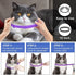 Purple Flea and Tick Collar for Cats & Kittens, Cat Flea Collar 2 Pack Made with Plant Based Essential Oil, 8-Month Natural Flea and Tick Prevention Treatment and Protection