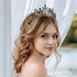 Lurrose Luxury Baroque Crown Black Crystal Crown Halloween Tiara and Crown Rhinestone Queen Crown (Black)