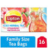 Lipton Family Herbal Iced Tea Bags, Strawberry Watermelon, 16 count