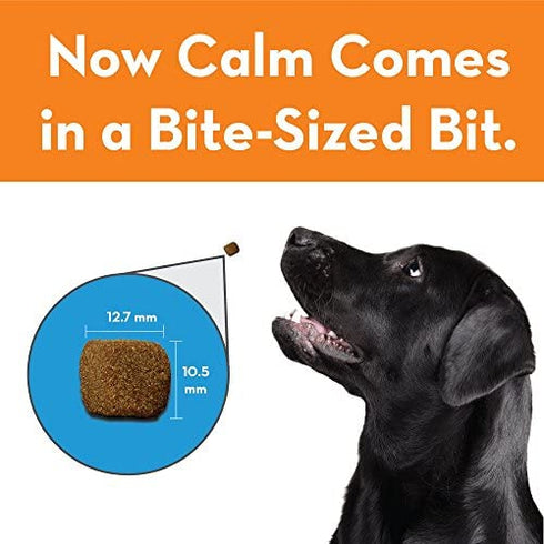 ThunderWunders Dog Calming Chews | Thiamine, L-Tryptophan, Melatonin and Ginger | Can Help Relieve Stress from Separation, Storms, Fireworks & Travel (60 Count)