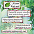 Urban ReLeaf Chemo Relief Nausea & Side Effects Aromatherapy! Fast Help! Upset Stomach, Migraine, Medication Illness! 100% Natural Ancient & Proven Remedy, Essential Oils!