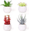 Veryhome Fake Succulent Plants Artificial Faux Succulents Mini Potted Plastic Succulents for Home Office Room Deco (Black Geometric Potted - 4pcs)
