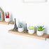 Veryhome Fake Succulent Plants Artificial Faux Succulents Mini Potted Plastic Succulents for Home Office Room Deco (Black Geometric Potted - 4pcs)