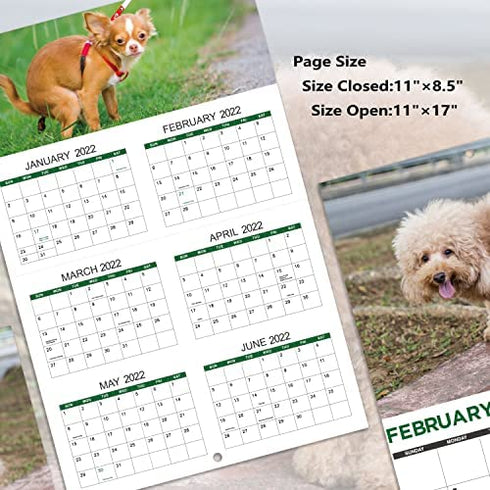 2023 Wall Calendar - Dog Pooping Calendar 2023-2024 from January 2023 - June 2024, Funny Dog Calendar Gag Gifts,11" x 17" (Open), 11" x 8.5"(Closed), Perfect 2023-2023 Calendar for White Elephant Gifts Funny