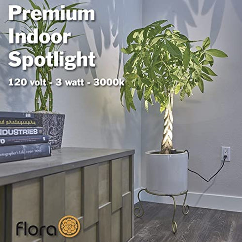 LED Indoor Spot Light for Plants & Accent Lighting - Uplight & Down Spotlight for Potted Plants Home & Living Room (3W LED) Decorative 110V Lamp with Plug for Interior Wall (Warm White) (with Stake)