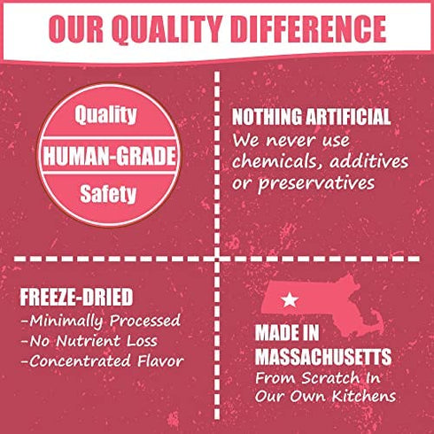 Whole Life Pet Living Treats for Cats – Healthy Skin with Salmon and Yogurt – Human Grade, Omegas, Allergy Relief - Made in The USA