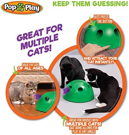 Allstar Innovations Use with The Pop N Play; 3 Replacement Cat Toy Attachments; Includes One Mouse, One Fish and One Feather. Pets Know Best'