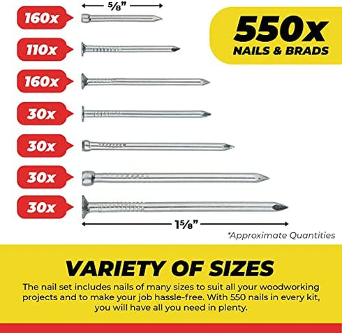 Qualihome Hardware Nail Assortment Kit, Includes Finish, Wire, Common, Brad and Picture Hanging Nails