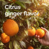 Emergen-C Citrus-Ginger Gummies, Turmeric and Ginger, Immune Support Natural Flavors with High Potency Vitamin C, 36 Count
