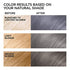 L'Oreal Paris Feria Multi-Faceted Shimmering Permanent Hair Color Hair Dye, S1 Smokey Silver