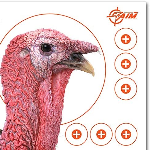 EZ Aim™ Paper Shooting Target Turkey Target by Allen®, 12 inch x 12 inch, 6 Pack, Multicolor, One Size (15322)