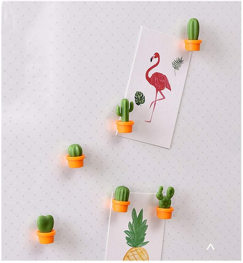 TabEnter Decorative Refrigerator Magnets, Perfect Fridge Magnets for House Office Personal Use (12Pcs Cactus)