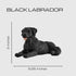 Boulevard East Concepts Labrador Dog Collectible Figurine Statue (Black)