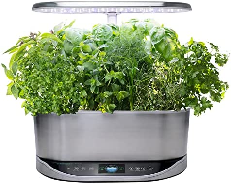 AeroGarden Gourmet Herb Seed Pod Kit - Herb Seeds for AeroGarden Indoor Garden, 9-Pod