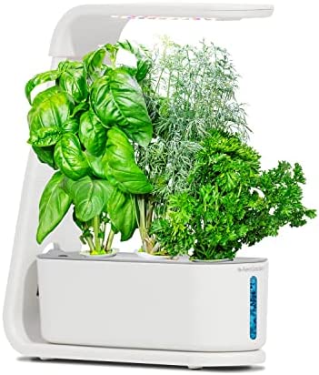 AeroGarden Gourmet Herb Seed Pod Kit - Herb Seeds for AeroGarden Indoor Garden, 3-Pod