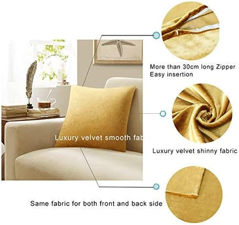 GIGIZAZA Gold Velvet Decorative Throw Pillow Covers for Sofa Bed 2 Pack Soft Cushion Cover