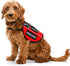 14 PCS Service Dog Patches Reflective Service Dog Vest Patches with Velcro Tactical Hook Loop Harness Patch Set for in Training Dog,Large Dog