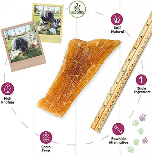 Nature Gnaws Paddywack Tendons for Dogs - Premium Natural Beef Dental Bones - Long Lasting Dog Chew Treats for Medium & Large Dogs - Rawhide Free