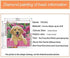3ABOY Dog Diamond Art Kits for Kids,5D DIY Dog Diamond Painting Kits for Adults Animal Dog for Home Wall Decor(13.8X13.8inch) (ym001 Dog)