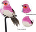 Artificial Bird Ornaments 12Pcs Cute Artificial Feather Bird Colorful Simulation Foam Bird for Crafts, Christmas Tree and Seasonal Displays and Wreaths
