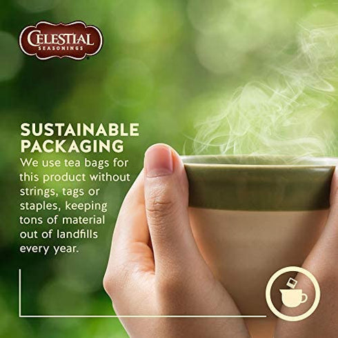 Celestial Seasonings Holiday Herbal Tea, Gingerbread Spice, 20 Count
