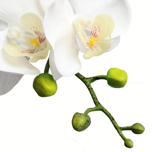 Htmeing 38 Inch Artificial Phalaenopsis Flowers Branches Real Touch (Not Silk) Orchids Flowers for Home Office Wedding Decoration,Pack of 2 (White)