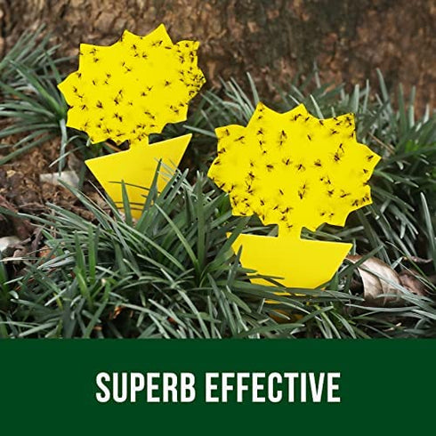 Garsum Fruit Fly Trap Yellow Sticky Fungus Gnat Killer for Indoor and Outdoor Plant Insect Catcher for White Flies,Mosquitos,Fungus Gnats,Flying Insects,12 pcs