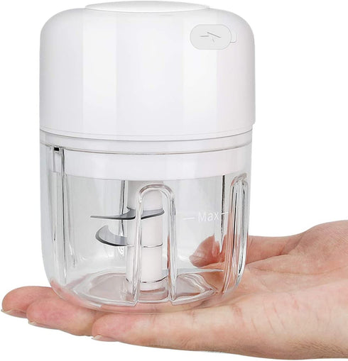FUHUIM Mini Electric Garlic Chopper, Fits for Cutter Vegetables/Meat Grinder/Garlic Chooper/Fruits Masher/Salad Grinder, Great Kitchen Blender Gadgets(250ML)