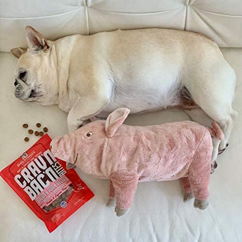 Stella & Chewy's Crav'n Bac'n Dog Treats Bacon & Pork Recipe, 8.25 oz. Bag