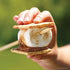 Coghlan's Bamboo Roasting Sticks