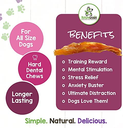 Nature Gnaws Tendons for Dogs - Premium Natural Beef Sticks - Simple Single Ingredient Tasty Dog Chew Treats - Rawhide Free - 4-5 Inch (5 Count)