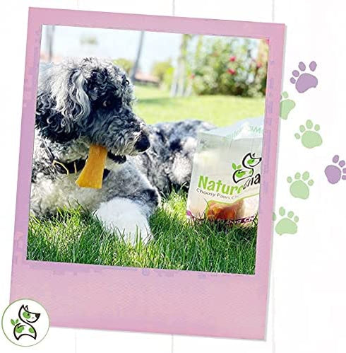 Nature Gnaws Paddywack Tendons for Dogs - Premium Natural Beef Dental Bones - Long Lasting Dog Chew Treats for Medium & Large Dogs - Rawhide Free
