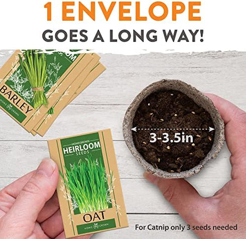 Cat Grass Seeds - Grow Cat Grass for Indoor Cats - Cat Grass Seeds Bulk - Refill Cat Growing Grass Kit - Heirloom Cat Grass Seed (Cat Grass - 3pack)
