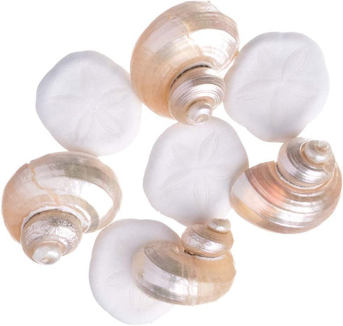 Nautical Assortment 25 Pieces | White Finger Starfish | Sea Biscuit | Aqua Blue Sea Glass | Clear Sea Glass | Pearlized Turbo Shells | Shells for Crafts | Plus Free Nautical Ebook by Joseph Rains