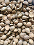 Raw Organic Bitter Apricot Kernel Powder, The Best Natural Source of Vitamin B17 | Very Rich in Fatty Acids, Vitamins and Minerals | Used as a Cleansing Face Balm - 7 Oz.
